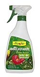 Flower 40562 - Abrillantador Doble acción, 500 ml Foto, mejor precio 7,99 € nuevo 2024