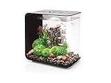 OASE biOrb 72033 FLOW 30 LED in schwarz – elegantes Design-Aquarium Komplett-Set mit Filter-System, LED-Beleuchtung, Boden-Kies und Luftausströmer aus widerstandsfähigem Acryl-Glas Foto, bester Preis 191,78 € neu 2024