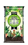 Sustrato Cactus 5l. Foto, mejor precio 3,93 € nuevo 2024