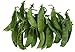 Photo Oregon Giant Snow Pea Seeds- 50 Count Seed Pack - Non-GMO - Finest Tasting, Most Vigorous Snow peas. Use Them for Colorful Tasty stir-Fry Recipes or eat raw. - Country Creek LLC