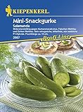 Gurkensamen - Salatgurke Salamanda von Kiepenkerl Foto, bester Preis 3,95 € neu 2024