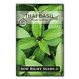 Sow Right Seeds - Sweet Large Leaf Thai Basil Seed for Planting; Non-GMO Heirloom Seeds; Instructions to Plant and Grow a Kitchen Herb Garden, Indoors or Outdoor; Great Gardening Gift Photo, best price $4.99 new 2024
