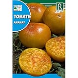 Semillas de Tomate ananas Foto, mejor precio 1,62 € nuevo 2025