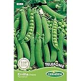 Germisem Telephone Semillas de Guisantes 100 g Foto, mejor precio 3,43 € nuevo 2024