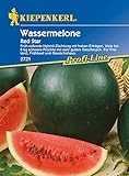 Melonen Wassermelone Red Star F1 Foto, bester Preis 5,24 € (5,24 € / Stück) neu 2024