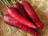 200+ Carrot Seeds- Cosmic Purple Photo, best price $4.39 new 2024