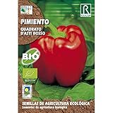 Semillas ecológicas de pimiento quadrato d'asti rosso Foto, mejor precio 1,85 € nuevo 2024