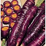 Purple Dragon Carrots Seeds (25+ Seeds)(More Heirloom, Organic, Non GMO, Vegetable, Fruit, Herb, Flower Garden Seeds (25+ Seeds) at Seed King Express) Photo, best price $4.69 new 2024