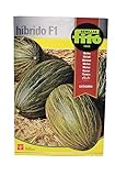 Semilla de Melón Hibrido F1. Piel de sapo. 60uds Foto, mejor precio 17,90 € nuevo 2024