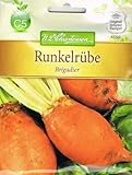 Futterrübe Brigadier Runkelrübe Rübe Foto, bester Preis 3,87 € (258,00 € / kg) neu 2024