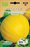 Germisem Orgánica Centenar Semillas de Calabaza 2 g Foto, mejor precio 3,99 € nuevo 2024