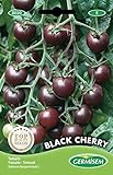 Germisem Black Cherry Tomate 20 Semillas (EC8020) Foto, mejor precio 2,21 € nuevo 2024