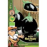 Semillas ecológicas de Berenjena Black Beauty Foto, mejor precio 4,42 € nuevo 2025