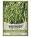 Photo Rosemary Seeds for Planting - It is A Great Heirloom, Non-GMO Herb Variety- Great for Indoor and Outdoor Gardening by Gardeners Basics