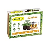 Sembra Big Kit Cultivo, 25.5x33.5x9 cm Foto, mejor precio 17,05 € nuevo 2024