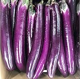 150Pcs Aubergine Samen Lange Dünne Streifen Jährliche Kräuter Heirloom Gemüse Einfach Zu Kultivieren Erstellen Sie Ihre Eigenen Pastoralen Hause Garten Einfache Pflanzung Foto, bester Preis 5,49 € neu 2024