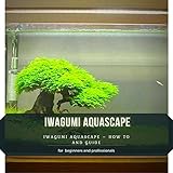 IWAGUMI AQUASCAPE: IWAGUMI AQUASCAPE – HOW TО AND GUIDE Photo, best price $2.99 new 2024