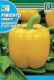 Semilla Pimiento amarillo Quadrato d'Asti Giallo - Rocalba Foto, mejor precio 1,55 € nuevo 2024