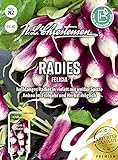 01140 N. L. Chrestensen Radieschen Samen Felicia | Frühreifend | Radieschen Saatgut | Mild und Würzig… Foto, bester Preis 3,70 € (3,70 € / count) neu 2024