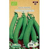 Germisem Orgánica Telephone Semillas de Guisantes 80 g Foto, mejor precio 6,58 € nuevo 2024