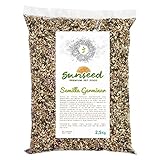 Semilla Germinar Sunseed 2,5 Kg Foto, mejor precio 12,33 € nuevo 2024