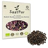 SaatPur Bio Keimsprossen - Radies Rambo - Sprossen, Microgreens - 30 g Foto, bester Preis 3,99 € neu 2024