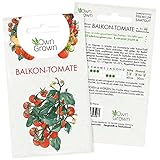 Tomatensamen Cocktailtomate Balkonzauber: Premium Mini Tomaten Samen zum Anbau von Tomatenpflanzen, Topf Tomaten Samen Balkonzauber für Balkon, Kübel und Garten – 5 Gemüse Samen von OwnGrown Foto, bester Preis 3,95 € (3,95 € / stück) neu 2024