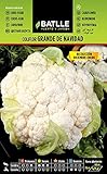 Coliflor grande NAVIDAD (dic-en) Foto, mejor precio 1,60 € nuevo 2024