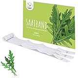 5m Saatband Rucola Samen (Eruca sativa) - Aromatisch, nussige Salatrauke ideal für die Anzucht im Garten, Balkonkasten & Gemüsebeet Foto, bester Preis 5,90 € (5,90 € / count) neu 2024