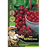 Semillas ecológicas de Tomate Red Cherry Foto, mejor precio 4,42 € nuevo 2025