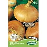 Germisem Vertus Semillas de Cebolla 4 g (EC1002) Foto, mejor precio 2,70 € nuevo 2024