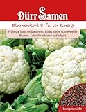 Dürr Samen 0006 Blumenkohl Erfurter Zwerg (Blumenkohlsamen) Foto, bester Preis 2,27 € neu 2024