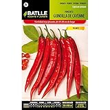 Semillas de Pimiento Guindilla de Cayenne rojo Foto, mejor precio 1,62 € nuevo 2024