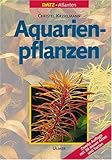 Aquarienpflanzen Foto, bester Preis 69,95 € neu 2025