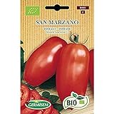 Germisem Orgánica San Marzano Semillas de Tomate 0.5 g Foto, mejor precio 3,99 € nuevo 2024