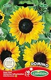 Germisem Domino Semillas de Girasol 2 g (EC1533) Foto, mejor precio 2,70 € nuevo 2024