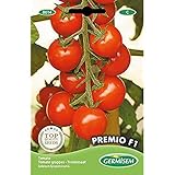 Germisem Premio F1 Tomate 20 Semillas, EC8014 Foto, mejor precio 3,68 € nuevo 2025