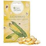 Zuckermais Samen: 3g Premium Mais Samen zur Anzucht von ca. 10 Mais Pflanzen – Gemüse Samen für leckere Maispflanzen – Maissamen Zuckermais – Mais Saatgut für den Garten – Gemüsesamen von OwnGrown Foto, bester Preis 2,95 € (0,30 € / stück) neu 2024