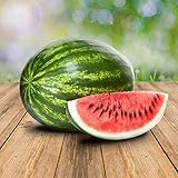 Wassermelon Klondike 25 x Samen - 100% Natursamen, Superfruchtig und Herrlich Erfrischend Foto, bester Preis 2,90 € neu 2024