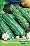 Germisem Green Italian Semillas de Calabacín 3 g, EC4014 Foto, mejor precio 2,21 € nuevo 2024