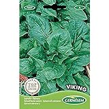 Germisem Viking Semillas de Espinacas 15 g, EC7017 Foto, mejor precio 2,21 € nuevo 2025