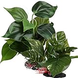 2pcs Plantas Artificiales Acuario para Decoración Acuario Pecera Estanque Hojas Verdes Artificiales 23cm y 18cm Foto, mejor precio 16,99 € nuevo 2024