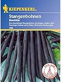 Bohne Blauhilde / Stangenbohnen Foto, bester Preis 3,99 € neu 2024