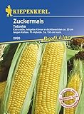 Maissamen - Zuckermais Tatonka von Kiepenkerl Foto, bester Preis 3,34 € neu 2024