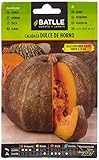 Calabaza Dulce horno BUEN GUSTO Foto, mejor precio 1,60 € nuevo 2024