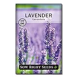 Sow Right Seeds - Lavender Seeds for Planting; Non-GMO Heirloom Seeds with Instructions to Plant and Grow a Beautiful Indoor or Outdoor herb Garden; Great Gardening Gift Photo, best price $4.99 new 2024