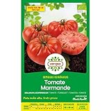 Semillas ecológicas de tomate marmande raf Vergea Foto, mejor precio 1,85 € nuevo 2025