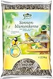 Dehner Natura - Comida para pájaros Silvestres, Semillas de Girasol Foto, mejor precio 15,91 € nuevo 2025