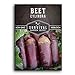 Photo Survival Garden Seeds - Cylindra Beet Seed for Planting - Packet with Instructions to Plant and Grow Dark Red Beets in Your Home Vegetable Garden - Non-GMO Heirloom Variety