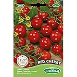 Germisem Red Cherry Semillas de Tomate 1 g (EC8004) Foto, mejor precio 2,45 € nuevo 2024